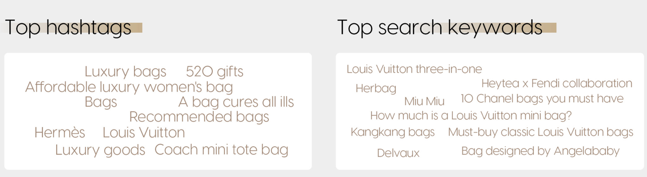 Luxury handbags & suitcases 2