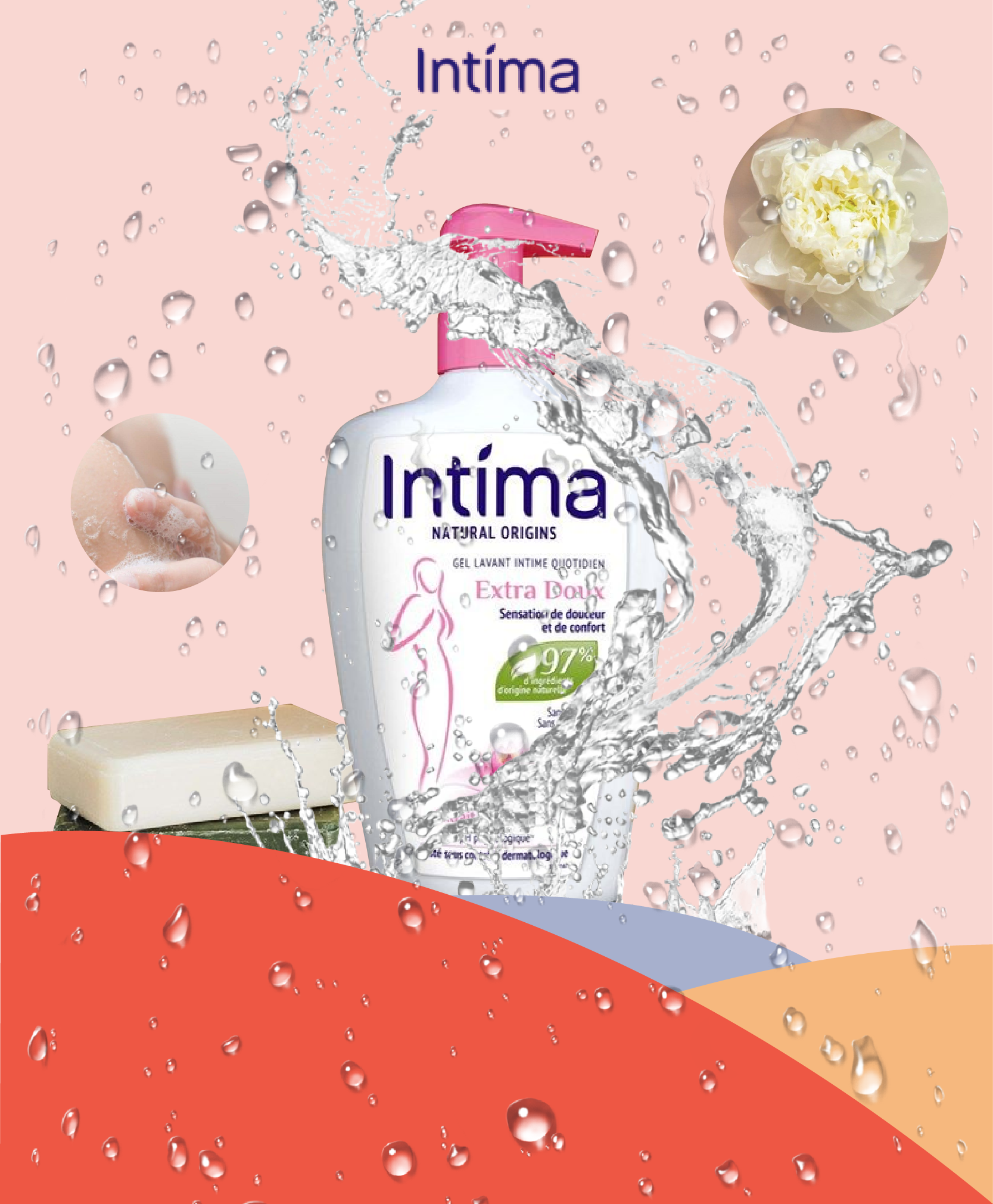 Intima